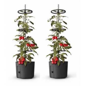 Gardenico Self-watering Tomato Climber Pot - 29cm - Twin Pack image