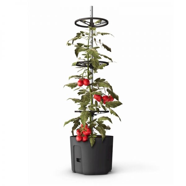 Gardenico Anthracite Self-Watering Tomato Climber Pot - 29Cm