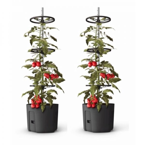 Gardenico Self-watering Tomato Climber Pot - 39cm - Twin Pack