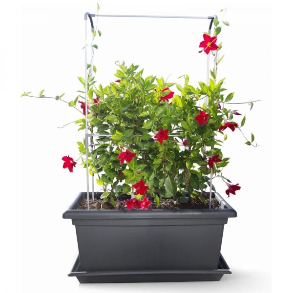 Gardenico Self-watering Mobile Living Wall Kit - 800mm - Anthracite