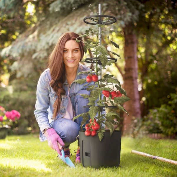 Gardenico Self-watering Tomato Climber Pot - 29cm - Twin Pack