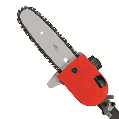 Grizzly 25cc Petrol Long Reach Chainsaw