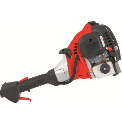 Grizzly 25cc Petrol Long Reach Chainsaw