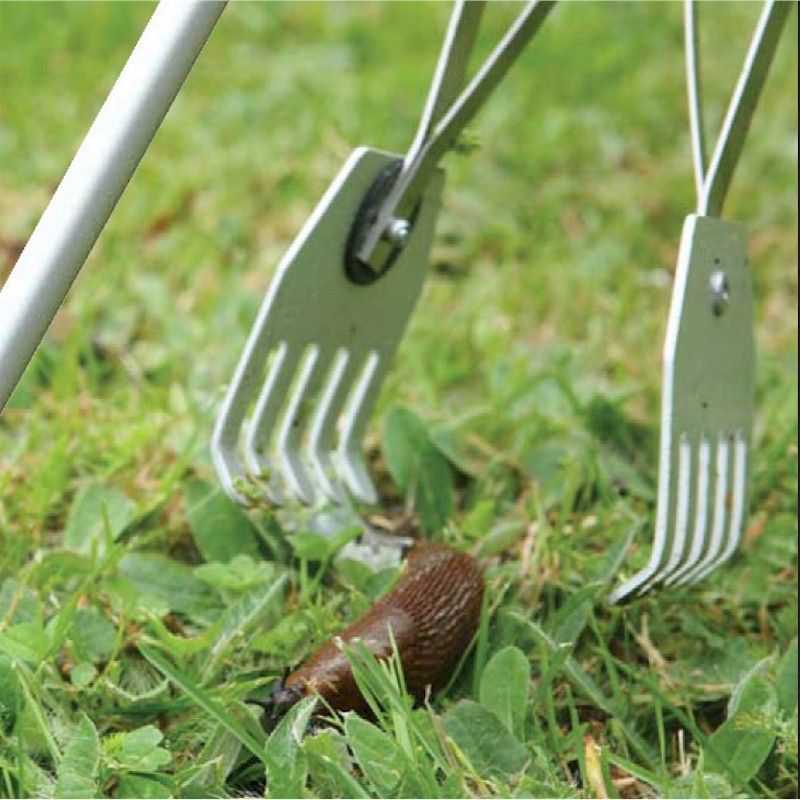 Chaselink Speed Hunter and Fruit Picker One Garden