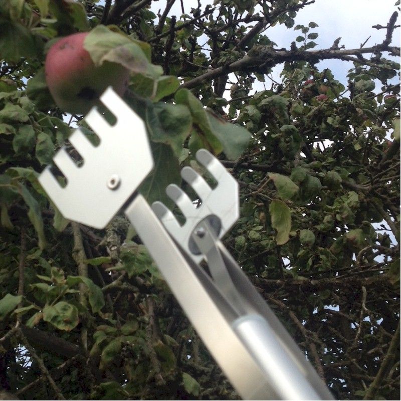 Chaselink Speed Hunter and Fruit Picker One Garden