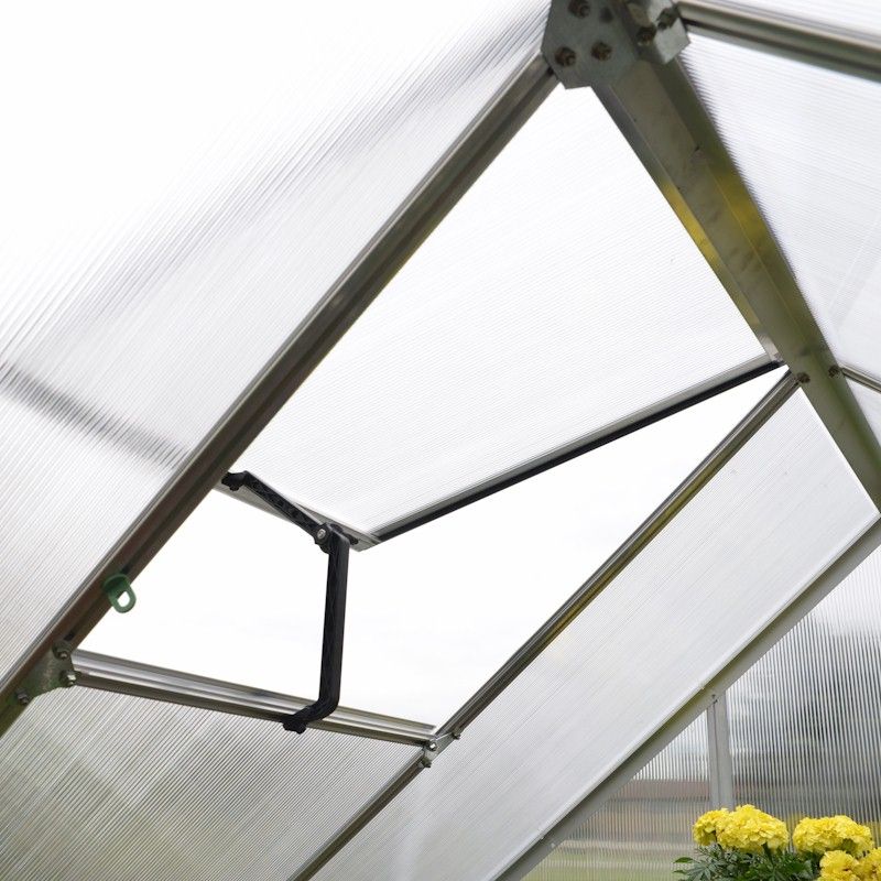 Palram Canopia Serra Mythos 6x8 – Doppie Pareti In Policarbonato E Alluminio, Con Fondamenta In Acciaio. La Serra Robusta E Senza Manutenzione Per Il Tuo Giardino!