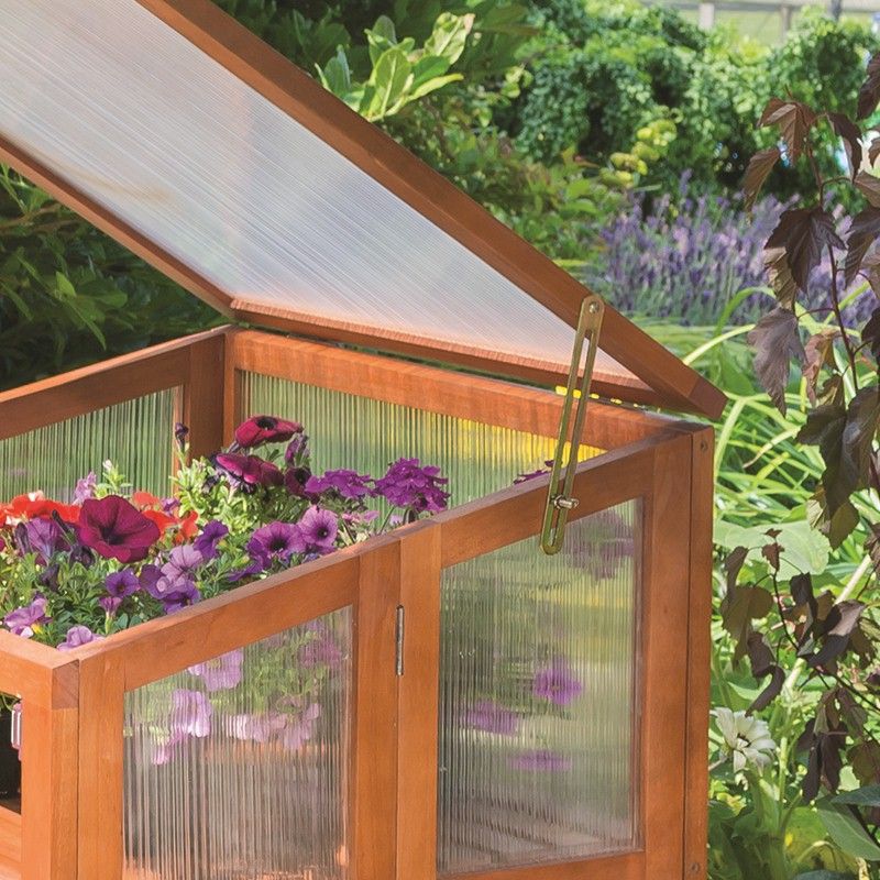 Tabletop Cold Frame Rowlinson Hardwood Cold Frame -- One Garden
