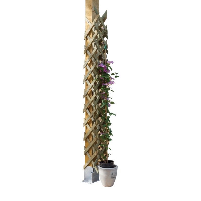 Zest Pipe or Post Trellis - Pack of 2