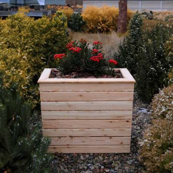 Shire Pia Larch Planter image