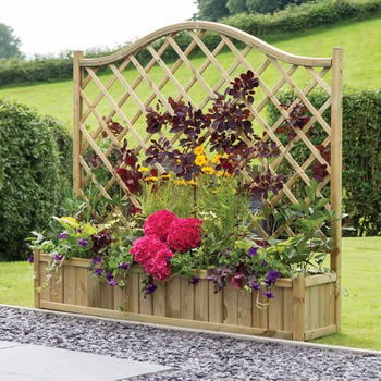 Zest York Planter image