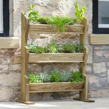 Zest Vertical Herb Stand image