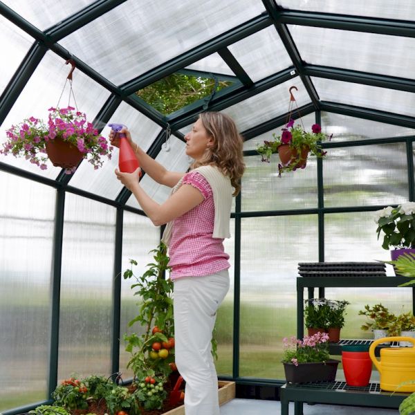 Palram - Canopia Hobby Gardener 8x12 Greenhouse