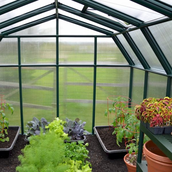 Palram - Canopia Hobby Gardener 8x20 Greenhouse