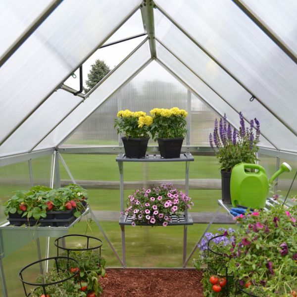 Palram - Canopia Mythos 6x4 Greenhouse - Silver