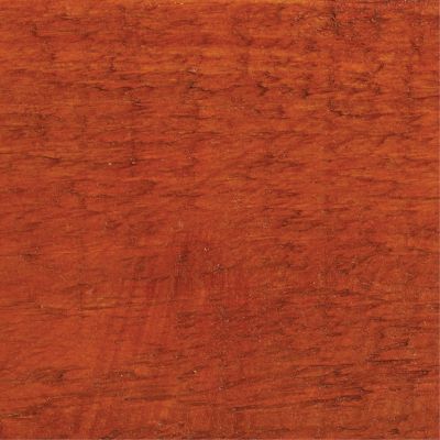 Protek Royal Exterior Wood Stain - Golden Cedar 1 Litre