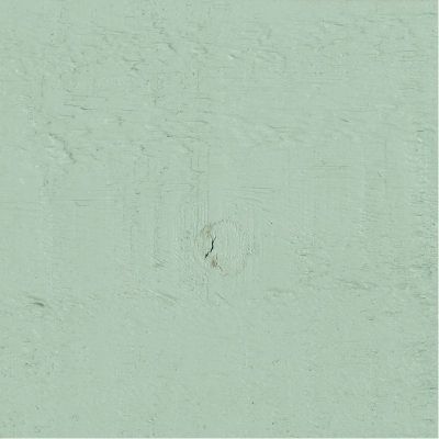 Protek Royal Exterior Wood Stain - Spring Green 1 Litre