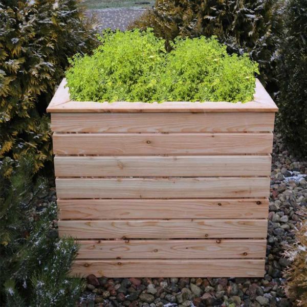 Shire Pia Larch Planter