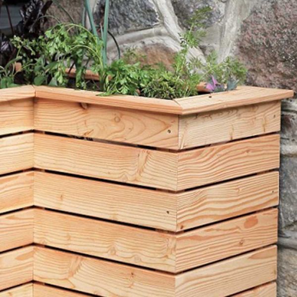 Shire Tina Larch Planter