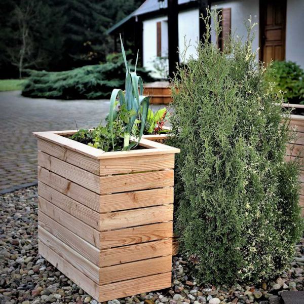 Shire Tina Larch Planter