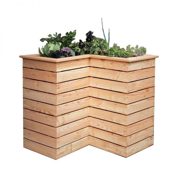 Shire Tina Larch Planter