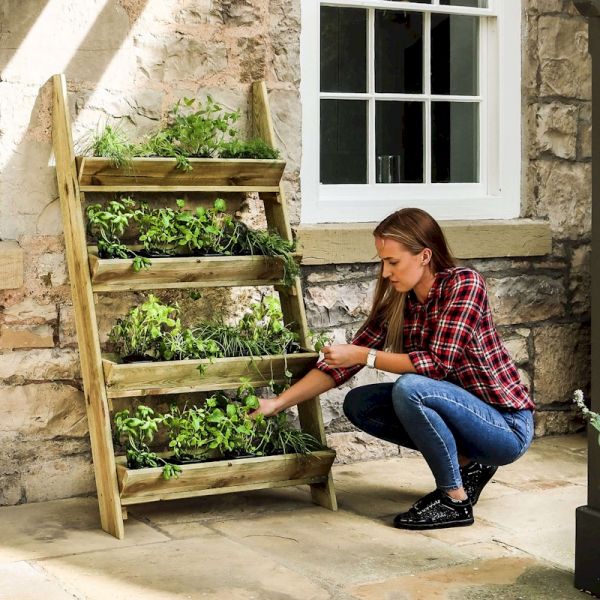 Zest Ladder Planter