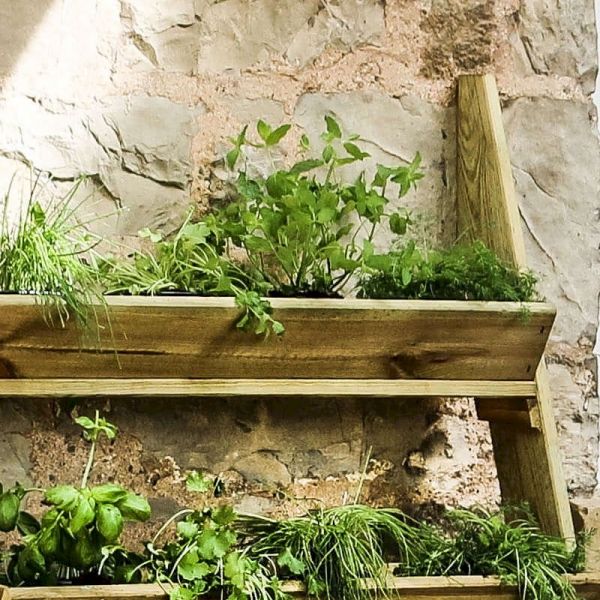 Zest Ladder Planter