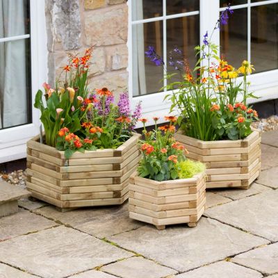 Zest Marford Hexagonal Planter Set of 3