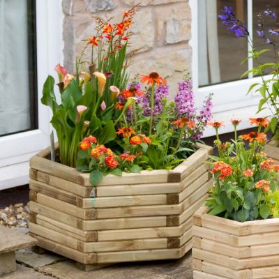 Zest Marford Hexagonal Planter Set of 3