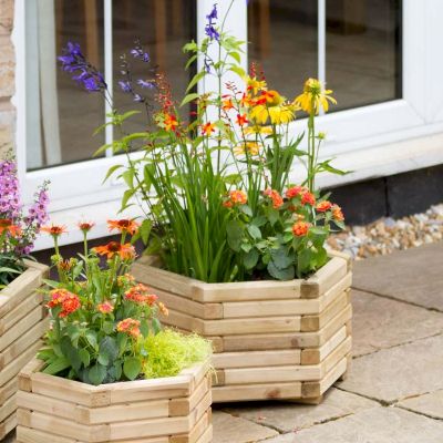 Zest Marford Hexagonal Planter Set of 3