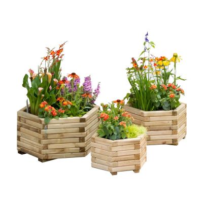 Zest Marford Hexagonal Planter Set of 3